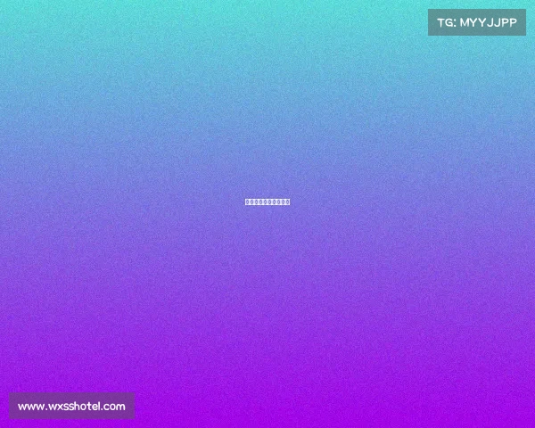 赛事组委会主要做什么